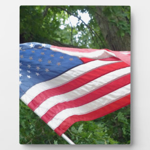 American Flag Plaque
