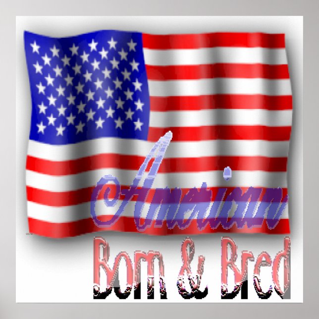 American Flag Poster (Front)