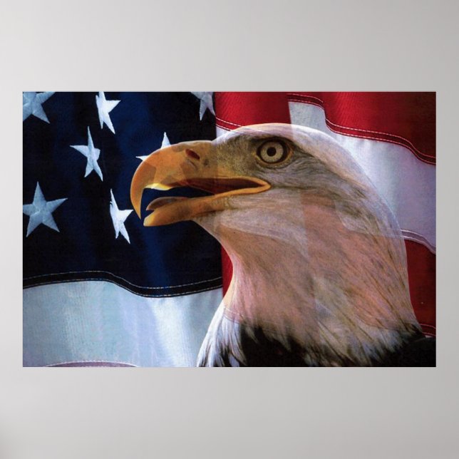 American flag with a Bald Eagle Poster (Front)
