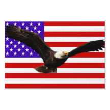 American flag with eagle USA