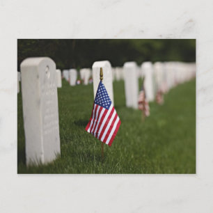 American flags on tombs of American Veterans on Postcard
