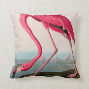 American Flamingo Birds of America Audubon Print Throw Pillow
