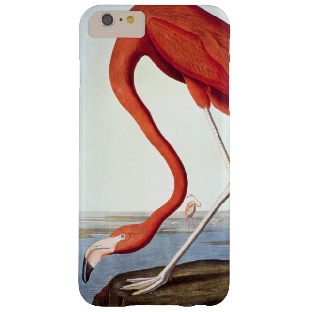 American Flamingo Case-Mate iPhone Case (Back)