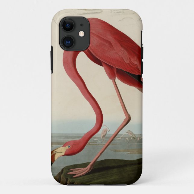 American Flamingo Case-Mate iPhone Case (Back)