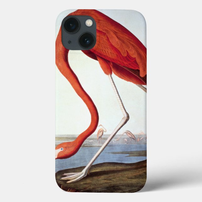 American Flamingo Case-Mate iPhone Case (Back)
