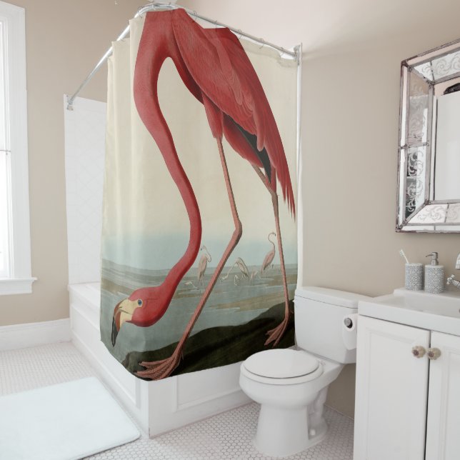 American Flamingo from Audubon's Birds of America  (In Situ)