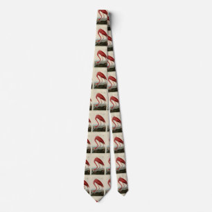 American Flamingo from Audubon's Birds of America Tie