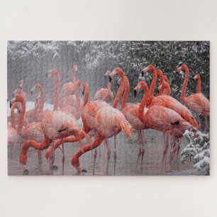 American Flamingo Jigsaw Puzzle