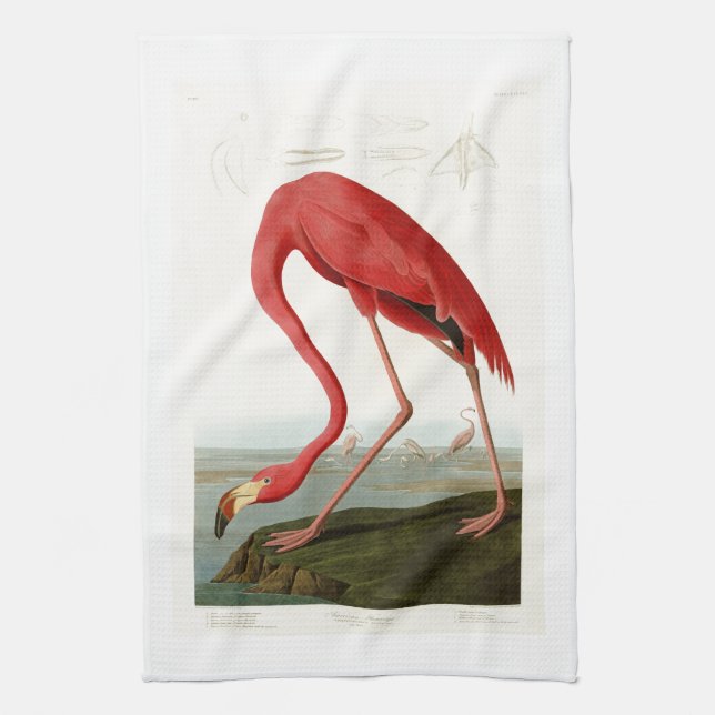 American Flamingo John Audubon Birds of America Kitchen Towel (Vertical)