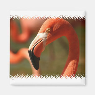 American Flamingo Square Magnet