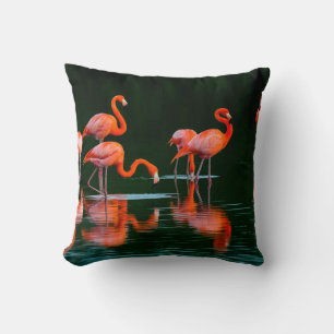 American flamingos with Reflections Resting and Fo Throw Pillow