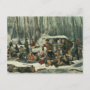 American Forest Scene - Maple Sugaring, 1856 Postcard