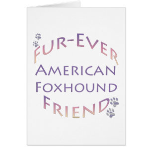 American Foxhound Furever