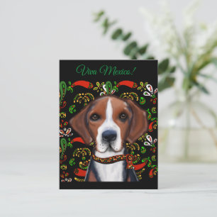 American Foxhound  Postcard
