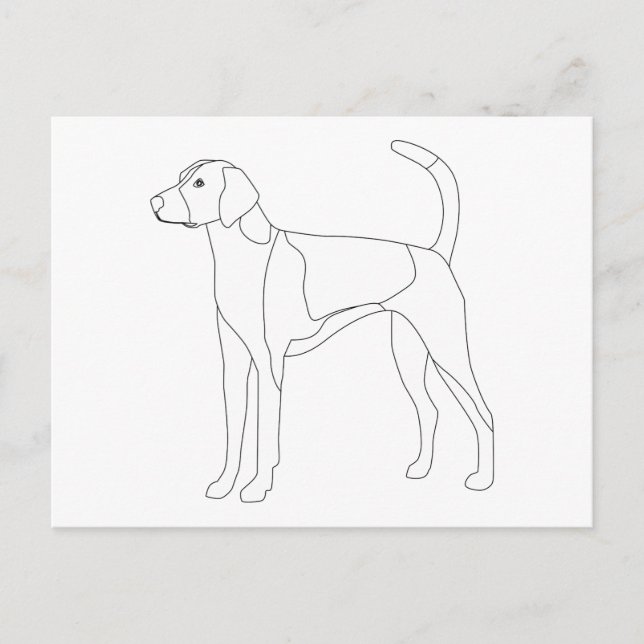 American Foxhound Ready to colour and customize Postcard (Front)