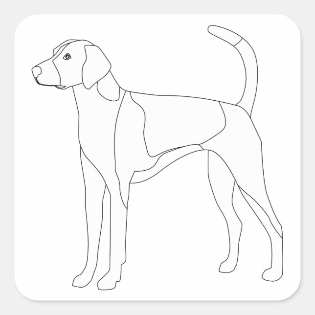 American Foxhound Ready to colour and customize Square Sticker (Front)