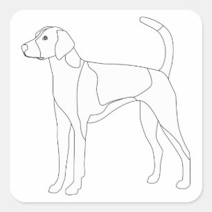 American Foxhound Ready to colour and customize Square Sticker