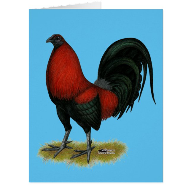 American Game BB Black Red Rooster (Front)