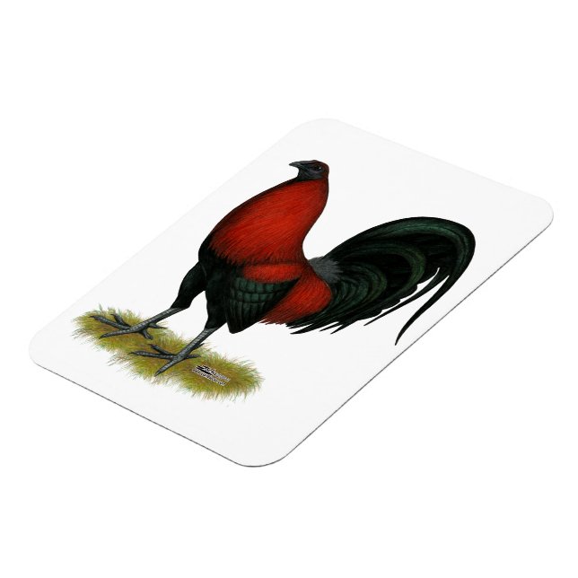 American Game BB Black Red Rooster Magnet (Left Side)