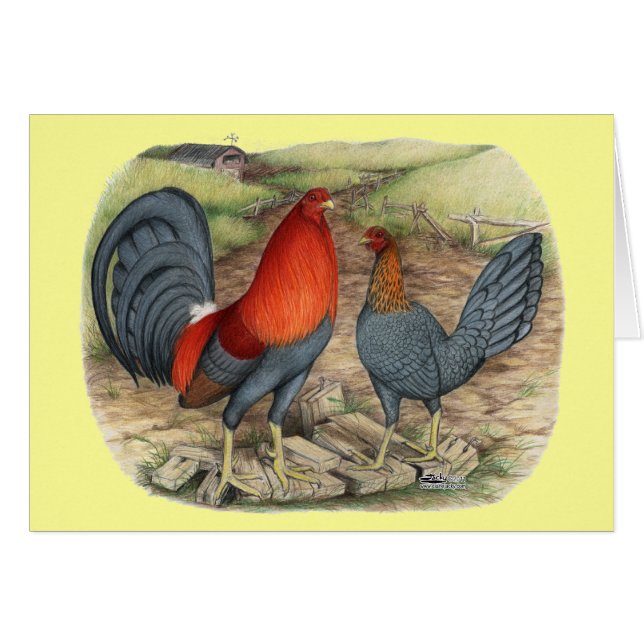 American Game Blue Reds (Front Horizontal)