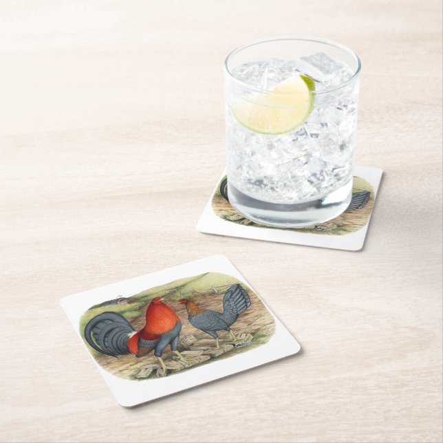 American Game Blue Reds Square Paper Coaster (Insitu)