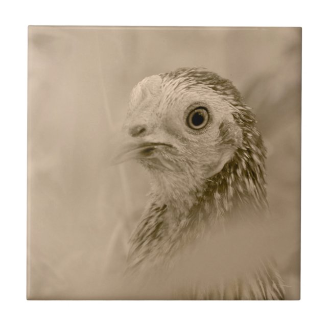 American Game Hen Tile (Front)