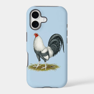 American Game Silver Blue Gamecock