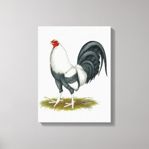 American Game Silver Blue Gamecock Canvas Print