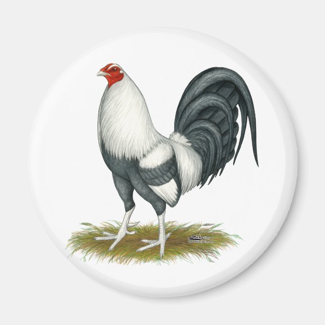 American Game Silver Blue Gamecock Magnet (Front)