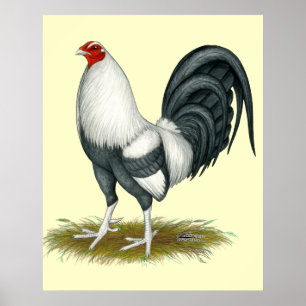 American Game Silver Blue Gamecock Poster