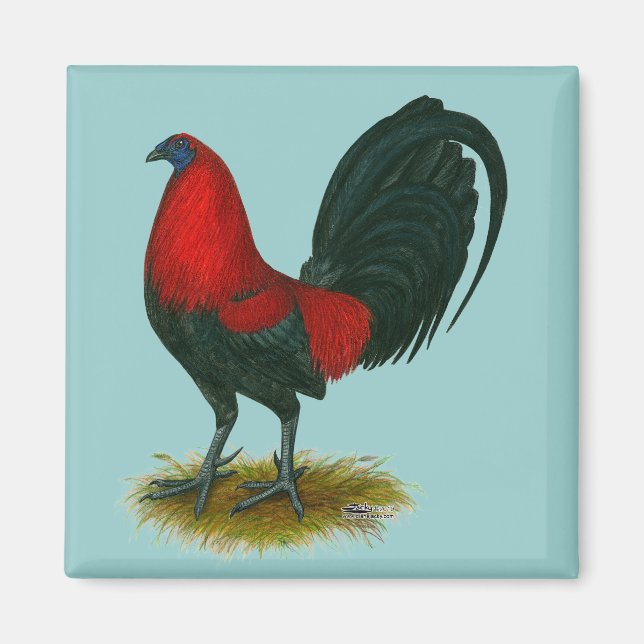 American Gamecock:  Brown Red Magnet (Front)