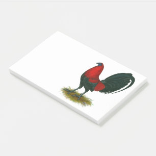 American Gamecock: Brown Red Post-it Notes