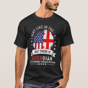 American Georgian Home in US Patriot American Geor T-Shirt