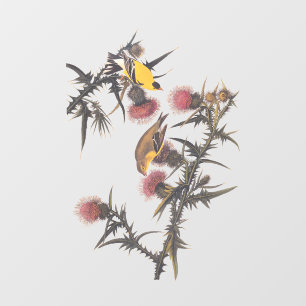 American Goldfinch Audubon Birds of America Window Cling