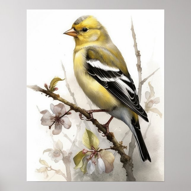 American Goldfinch Bird Art Print Poster (Front)