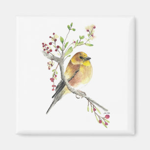 American Goldfinch Bird Watercolor Art Magnet
