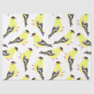 American goldfinch birds watercolor art tissue paper