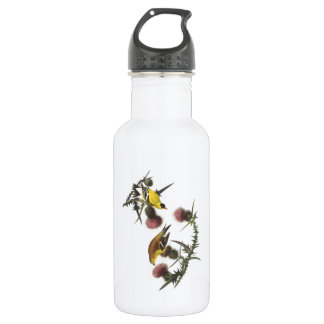 American Goldfinch by Audubon 532 Ml Water Bottle