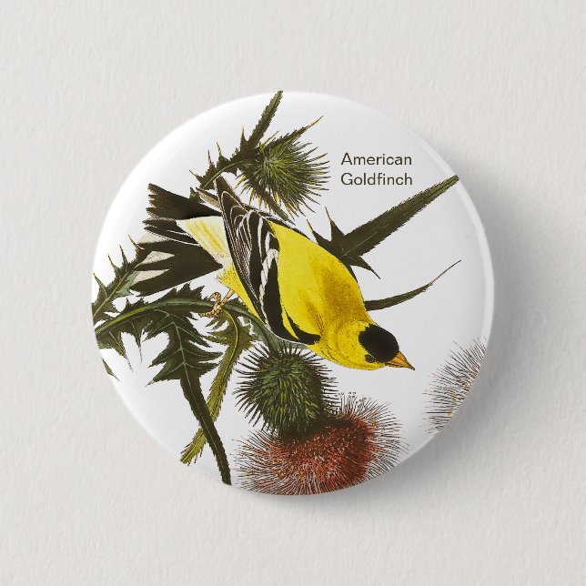 American Goldfinch by John James Audubon, Bird 2 Inch Round Button (Front)