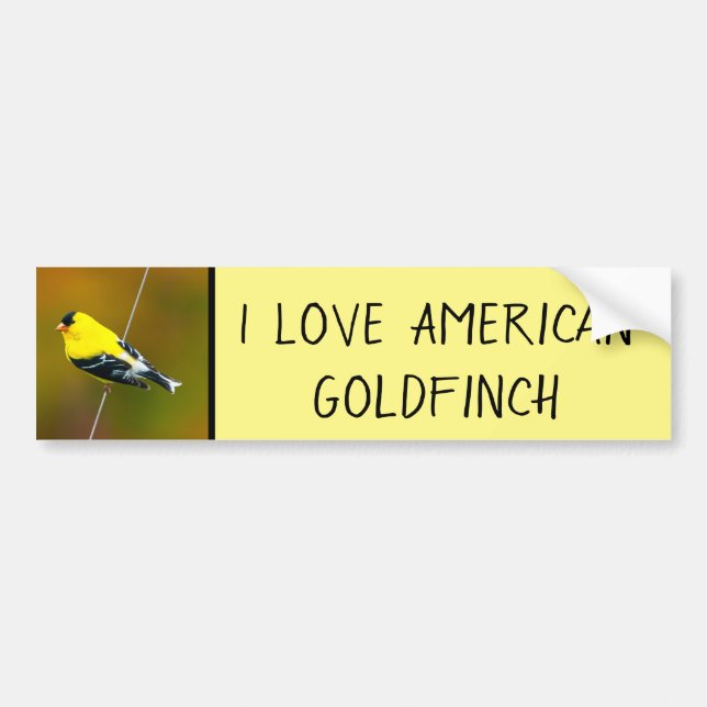 American Goldfinch - Original Photograph Bumper Sticker (Front)