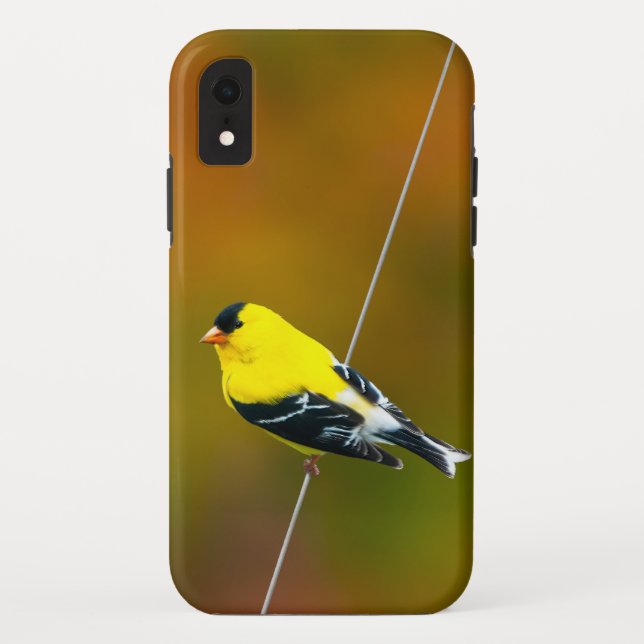 American Goldfinch - Original Photograph Case-Mate iPhone Case (Back)