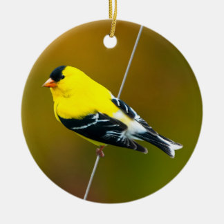 American Goldfinch - Original Photograph Ceramic Ornament