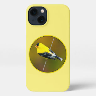American Goldfinch - Original Photograph iPhone 13 Case