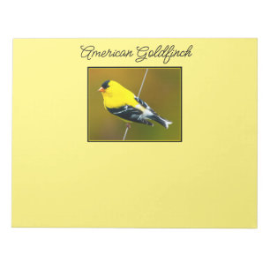 American Goldfinch - Original Photograph Notepad
