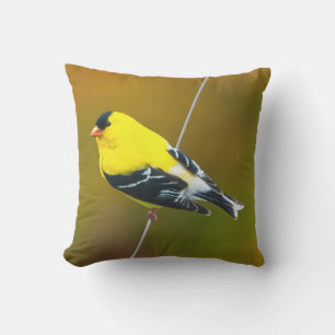 American Goldfinch - Original Photograph Outdoor Pillow