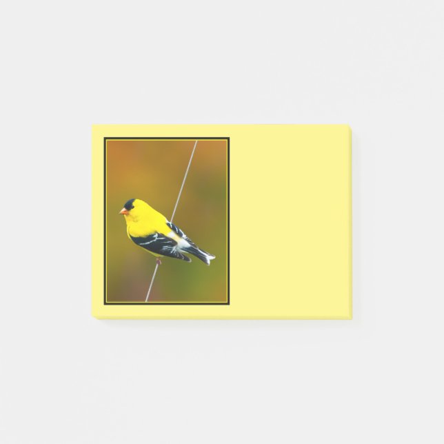 American Goldfinch - Original Photograph Post-it Notes (Front)