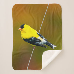 American Goldfinch - Original Photograph Sherpa Blanket