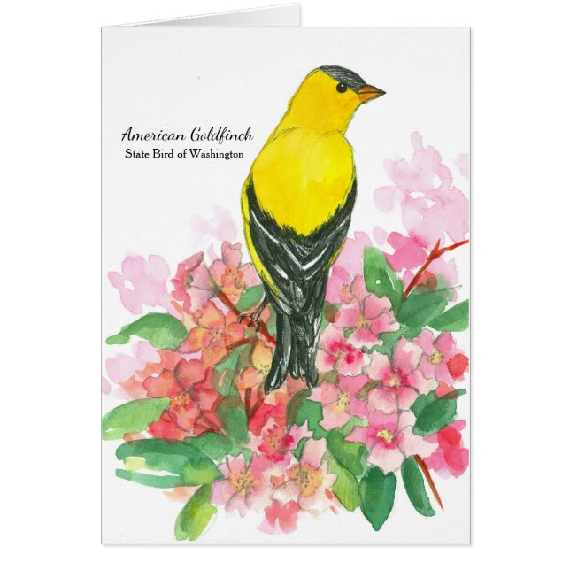 American Goldfinch Washington State Bird Blank (Front)