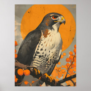 American Goshawk Poster