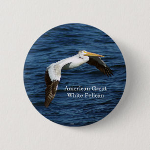 American Great White Pelican button